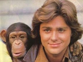 bj_and_the_bear-show