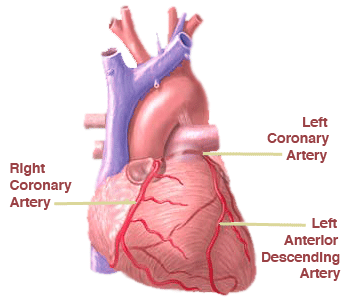 Knowing Your Heart