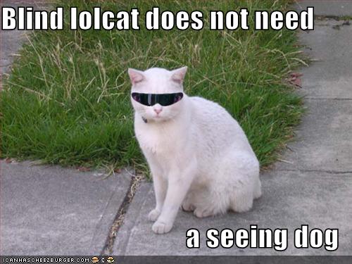 Blind to What I Don’t Need