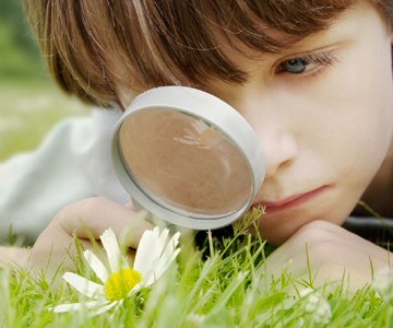 The Knowledge Economy