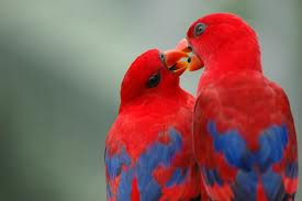 Love Deeply